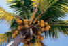 Etats-Unis - Miami, 09 JOURS / 07 NUITS - AUTOTOUR FLORIDE 2/3* - Miami / Key West / Naples / Orlando / Fort Lauderdale !!!