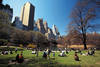 Central park - PARK CENTRAL