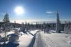 Finlande - Ivalo, 8 JOURS / 7 NUITS - IVALO - Séjour Multi-activités - CLUB ARTIC SAVUKOSKI 3* - Châlet privé maximum 4 personnes !