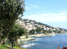 HOTEL L' ALIVI 3* - photo 1