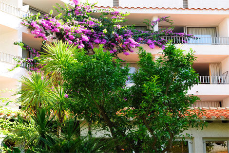 Facade - DOMAINE DU MAS BLANC