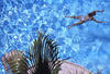 BANYULS SUR MER - JEUNE MAMAN - 6N - photo 4