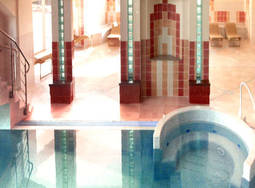 LES FLAMANTS ROSES 4* - ESPACE MARIN - photo 1