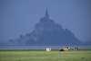 Normandie - Mont Saint Michel, 02 JOURS / 01 NUIT - Inter-Hôtel Altos - Baladez vous et découvrez les merveilles du Mont Saint Michel 