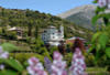 CHATEAU DES MAGNANS - photo 4