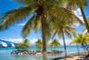 Guadeloupe - Pointe A Pitre, 12 JOURS / 10 NUITS - Appart Hôtel Canella Beach 3* - en petits-déjeuners + une visite à l'aquarium de la marina de Gosier (hors transport). 