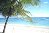 Guadeloupe - Pointe A Pitre, 16 JOURS / 14 NUITS - Hôtel Eden Palm 4*  