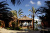 Kiosque - gazebo - LA PALMERAIE