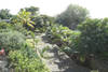 jardin tropical - HOLIDAY