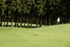 INTENSEMENT GOLF (Terra do Mar Paradise Resort 4* + accés golf illimité) - photo 4