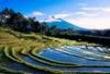 Nos bons plans vacances Indonesie