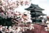 SPLENDEURS DU JAPON + EXTENSION SPIRITUELLE (MONT KOYA) BA - 2009 - photo 4