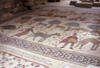 Nos bons plans vacances Jordanie
