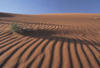 ESCAPADE EN JORDANIE 3* - photo 3
