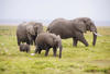 Nos bons plans vacances Kenya