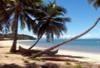 Madagascar - Antananarivo, 9 JOURS / 7 NUITS - Madiro Hôtel 3* - île de Nosy Be - Situé à Madirokely, à deux pas du village d'Ambatoloaka, le lieu où la vie nocturne est la plus animée avec ses night-clubs et ses longues nuits d'ambiance tropicale 