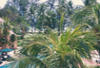 Malaisie - Kuala Lumpur, 10 JOURS / 7 NUITS - Hôtel Holiday Villa Cherating Kuantan 4*