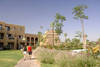 jardin - MADINA