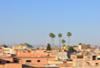 HOTEL MANSOUR EDDAHBI 5*LUXE - photo 2