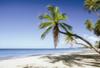 Martinique - Fort De France, 9 JOURS / 7 NUITS - LA MARTINIQUE EN LIBERTE ! Vols Paris/Fort de France A/R+ Location de voiture catégorie A incluse pour 4 jours.