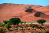 Namibie - Windhoek, 13 JOURS / 10 NUITS - Découverte et Bien Etre 