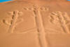Perou - Lima, 13 JOURS / 11 NUITS - Les Mystères de Nazca et les Trésors Incas