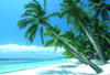 Philippines - Manille, 15 JOURS / 12 NUITS - Découverte de Manille et séjour balnéaire sur l'île de Boracay  – Hôtel Boracay Tropics 3* Charme - Vols avec Cathay Pacific !