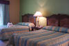 Chambre Standard - OASIS HAMACA