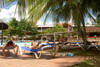 Piscine - DOMINICAN BAY