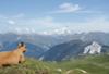 Rhône-Alpes - Courchevel, 8 JOURS / 7 NUITS - Résidence Les Sapineaux