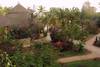 Jardin - BOUGAINVILLEES