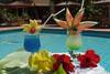Piscine 1 - DOMAINE DE NIANING