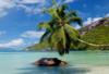 Seychelles - Mahe, 12 JOURS/ 10 NUITS - Croisière Iles Coraliennes 5 Dauphins - en formule pension complète (boissons non incluses). 