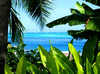 Tahiti - Papeete, 17 JOURS / 14 NUITS - Passez un Voyage de Noces de rêves avec le Combiné "Perles du Pacifique" : Tahiti 4* / Moorea 4* / Huahine 4* / Taha'a 5* / Bora Bora 4*sup - Contactez nos vendeurs spécialisés pour préparer votre combiné "A la Carte".