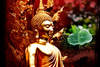 Thailande - Bangkok, 15 JOURS / 12 NUITS - Circuit Trésors du Siam 3*  et farniente à Phuket à l'hôtel Baumanburi 3*