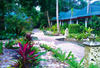 Thailande - Koh Samui, 31 JOURS / 28 NUITS - Soleil et Cocotiers Thai - séjour à l'hôtel Samui Yacht Club 3* - OFFRE SPECIALE SENIORS :  SEJOUR LONGUE DUREE