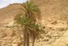 BALADE CHAMELIERE  - photo 4