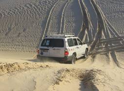 APPEL DU DESERT - photo 1