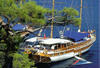 Turquie - Bodrum, 08 JOURS / 07 NUITS - Croisière Halicarnasse
