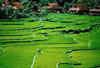 Vietnam - Hanoi, 12 JOURS / 9 NUITS - Circuit Splendeurs du Vietnam - vols avec Thaï Airways !