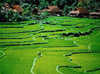 Vietnam - Hanoi, 16 JOURS / 13 NUITS - Circuit combiné Splendeurs du Vietnam et Cambodge, vols avec Vietnam Airlines !