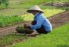 Vietnam - Hanoi, 12 JOURS / 9 NUITS - Circuit "Charmes du Vietnam"