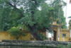 VIETNAM DECOUVERTE - photo 3