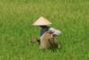 LUMIERE DU VIETNAM+EXT CAMBODGE 2008 2009 - photo 3