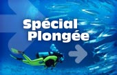 Plongée