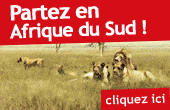 Voyage Afrique du Sud